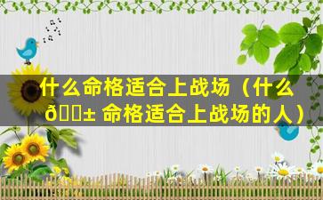 什么命格适合上战场（什么 🐱 命格适合上战场的人）
